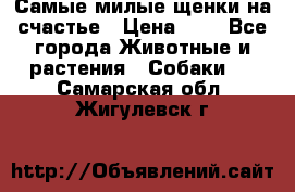 Самые милые щенки на счастье › Цена ­ 1 - Все города Животные и растения » Собаки   . Самарская обл.,Жигулевск г.